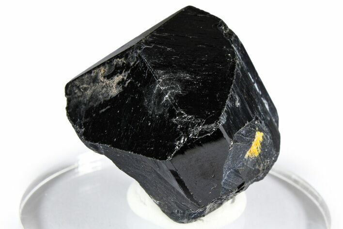 Lustrous Black Tourmaline (Schorl) Crystal - Namibia #361685